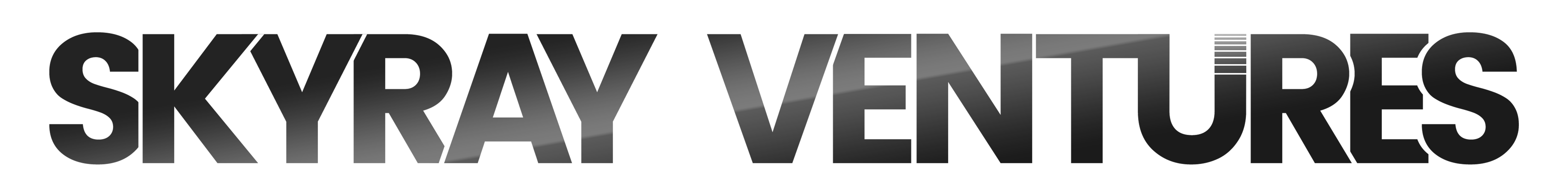 Skyray Ventures Logo